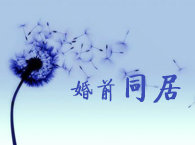 ǰͬǷǷͬӆ(D)