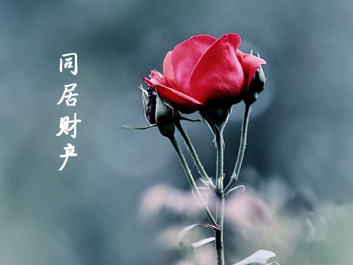 同居財產2.jpg