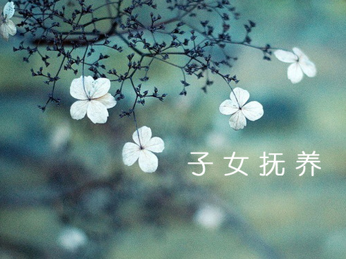子女撫養(yǎng)2.jpg