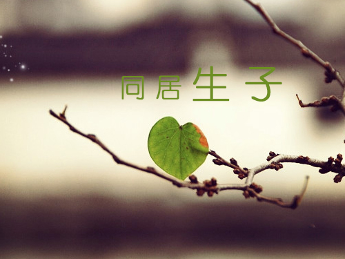 同居生子2.jpg