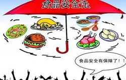 食品安全標(biāo)準(zhǔn)的性質(zhì)是什么意思?