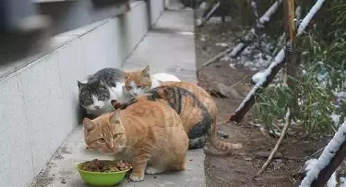 ͢fŮӱС^؈ץͶιߺIϷͥ