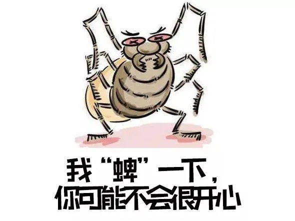 ͢fxҧڡ᣿UԓԓrԺ@